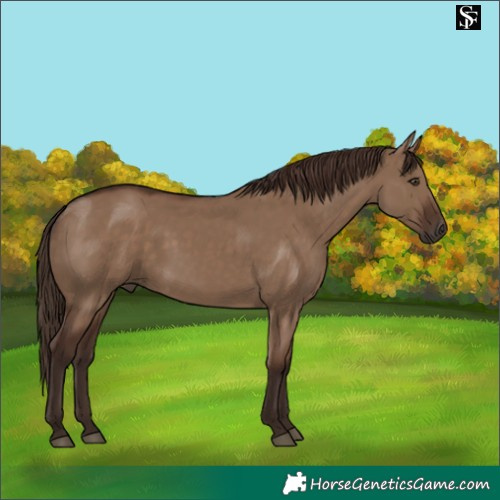Horse Color:Liver Red Dun 