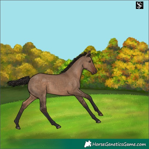 Horse Color:Liver Red Dun