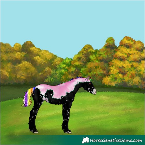 Horse Color:Painted White Spotted Silver Classic Champagne Dun Splash Rabicano