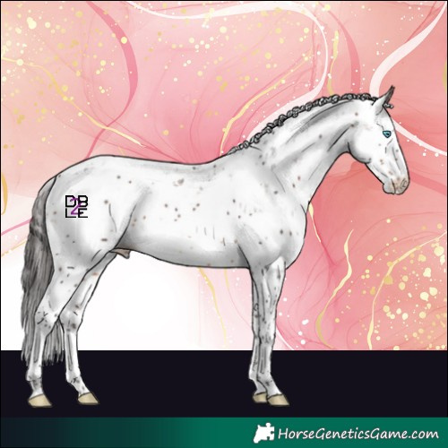 Horse Color:Brown Sabino Splash