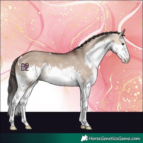 Horse Color:White Spotted Brown Dun Sabino Splash 
