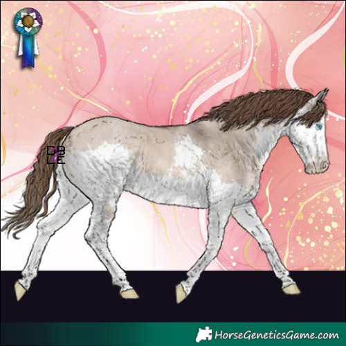 Horse Color:Bay Dun Sabino Splash Varnish