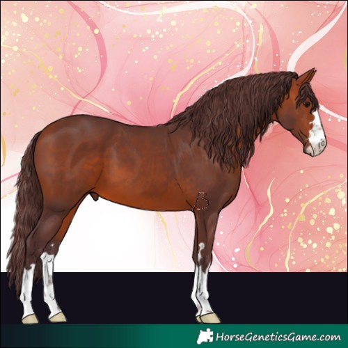 Horse Color:Chocolate Bay