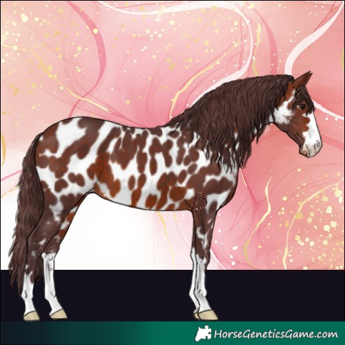 Horse Color:Chocolate Bay Near Leopard