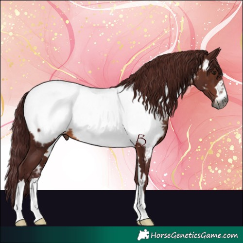 Horse Color:Gray Chocolate Brown Near Fewspot
