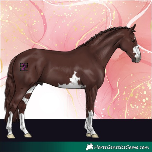 Horse Color:Gray Chocolate Black
