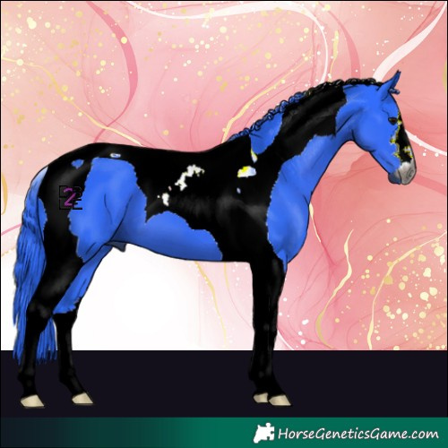 Horse Color:Gray Watercolor Black Tobiano 