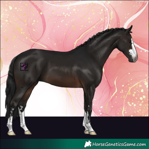 Horse Color:Gray Brown