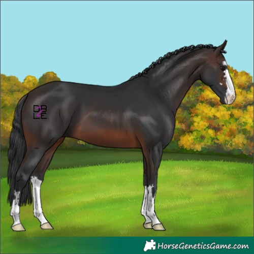 Horse Color:Brown 
