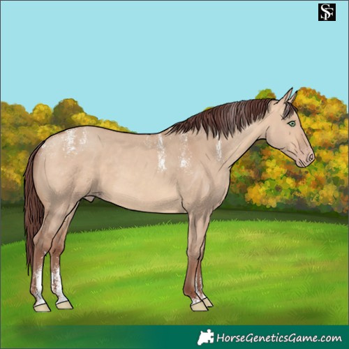 Horse Color:Powder White Chocolate Amber Champagne Dun 