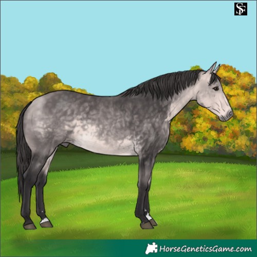 Horse Color:Platinum Buckskin
