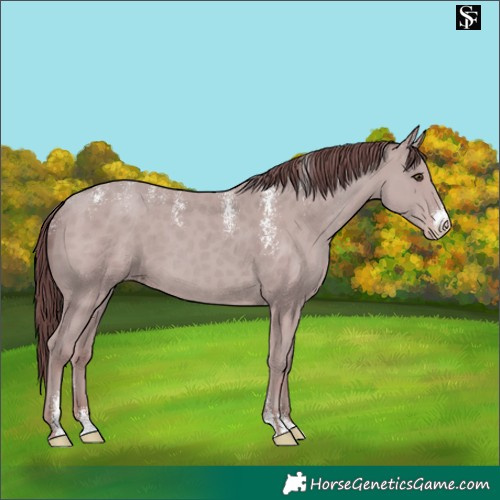 Horse Color:Powder White Platinum Chocolate Classic Champagne