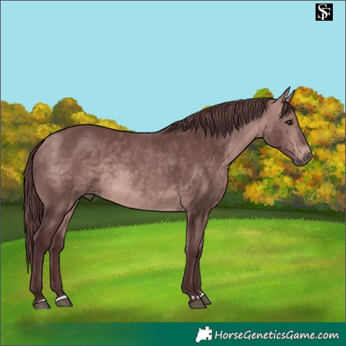 Horse Color:Platinum Chocolate Bay