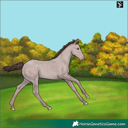 Horse Color:Platinum Chocolate Classic Champagne
