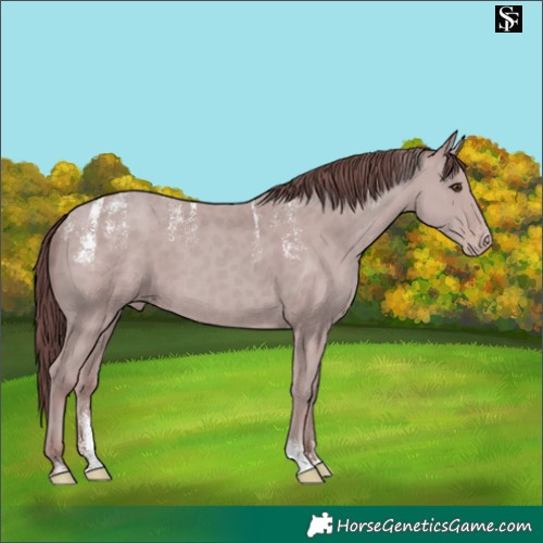 Horse Color:Powder White Platinum Chocolate Classic Champagne 