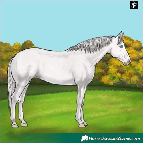 Horse Color:Powder White Platinum Chocolate Perlino 