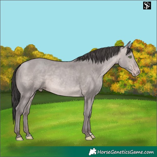 Horse Color:Platinum Sable Champagne