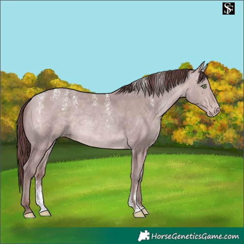 Horse Color:Powder White Platinum Chocolate Sable Champagne 