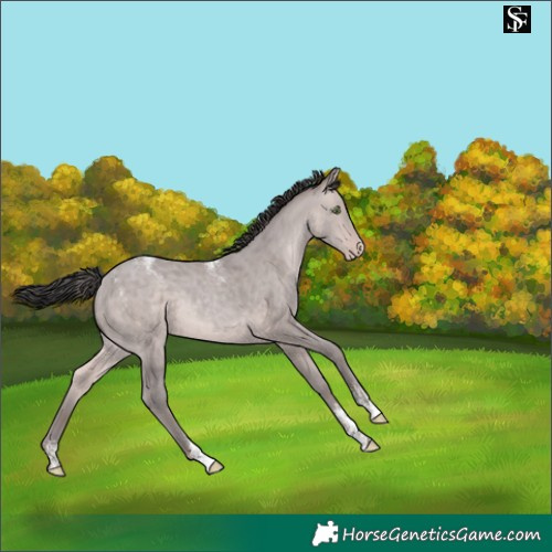 Horse Color:Powder White Platinum Sable Champagne 