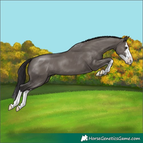 Horse Color:Smoky Grullo Sabino Splash