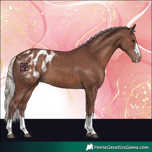 Horse Color:Chocolate Silver Black Varnish Rabicano