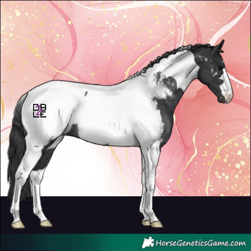 Horse Color:Black Tobiano Near Fewspot Rabicano