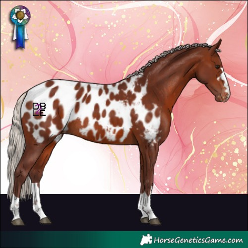 Horse Color:Chocolate Silver Brown Blanket Rabicano
