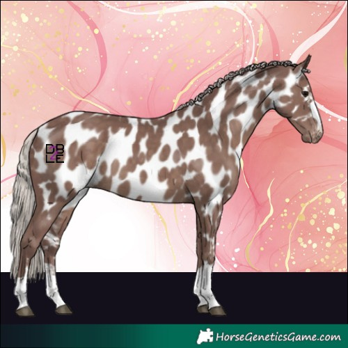 Horse Color:Chocolate Silver Black Near Leopard Rabicano