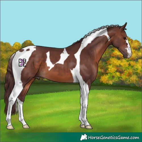 Horse Color:Chocolate Brown Tobiano