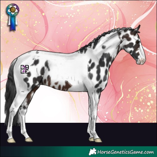 Horse Color:Brown Tobiano Leopard