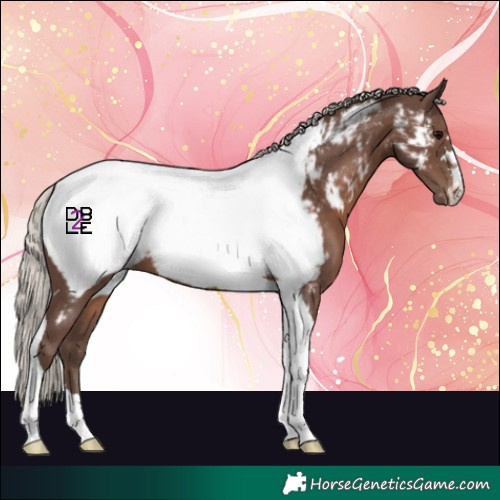 Horse Color:Silver Black Tobiano Near Fewspot
