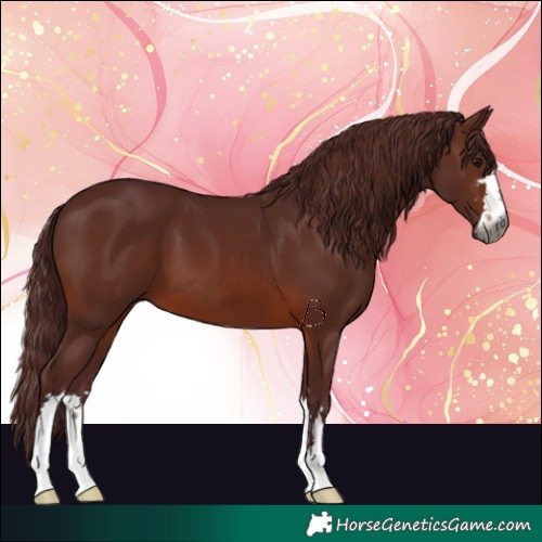Horse Color:Gray Chocolate Brown