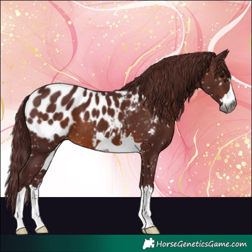 Horse Color:Gray Chocolate Brown Blanket 