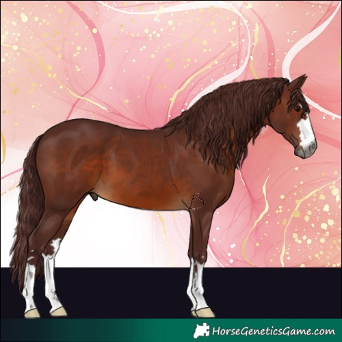 Horse Color:Gray Chocolate Brown 