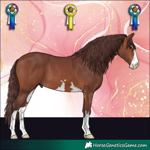 Horse Color:Chocolate Brown