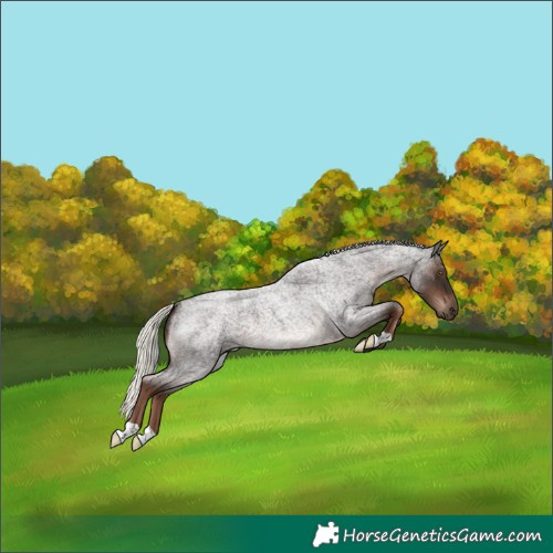 Horse Color:Liver Red Roan Mushroom