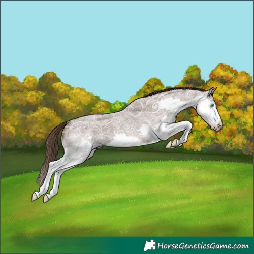 Horse Color:Liver Red Ice Roan Splash Varnish 