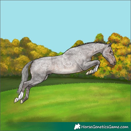 Horse Color:Silver Brown Ice Roan