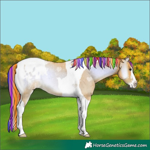 Horse Color:Painted Watercolor Red Onyx Tobiano Varnish