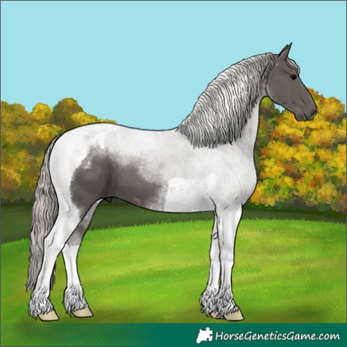 Horse Color:Silver Black Tobiano