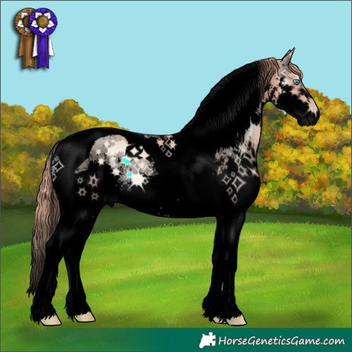 Horse Color:Void Gold Champagne Onyx Sabino Splash Tobiano