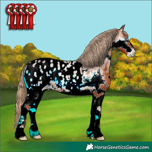Horse Color:Red Onyx Sabino Splash Blanket