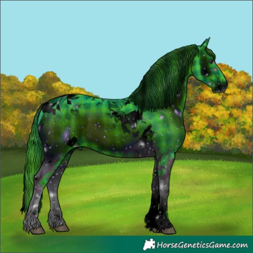 Horse Color:ERROR: UNKNOWN ANOMALY