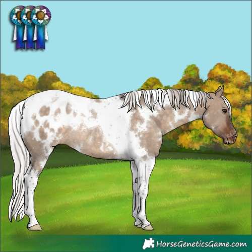 Horse Color:White Spotted Silver Brown Dun Tobiano Blanket Rabicano