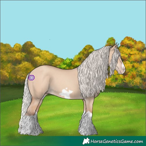 Horse Color:Silver Classic Champagne Dun Splash Frame 