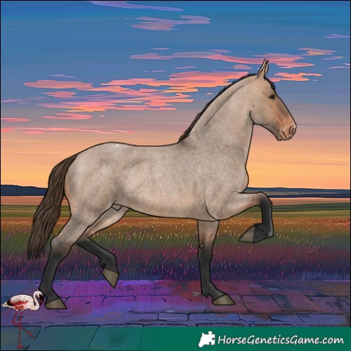 Horse Color:Bay Roan Dun Varnish