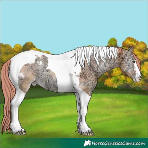Horse Color:Watercolor Bay Ice Pearl Onyx Tobiano Varnish