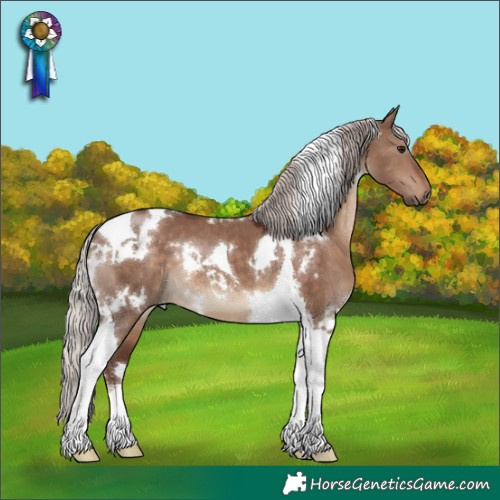 Horse Color:White Spotted Chocolate Silver Brown Dun Tobiano