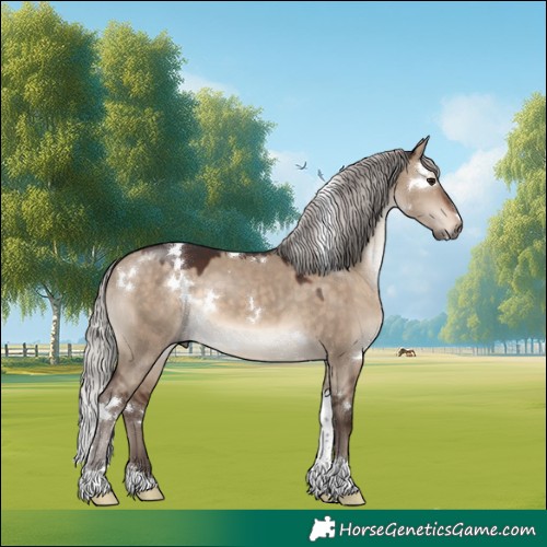 Horse Color:White Spotted Chocolate Silver Brown Dun Tobiano 