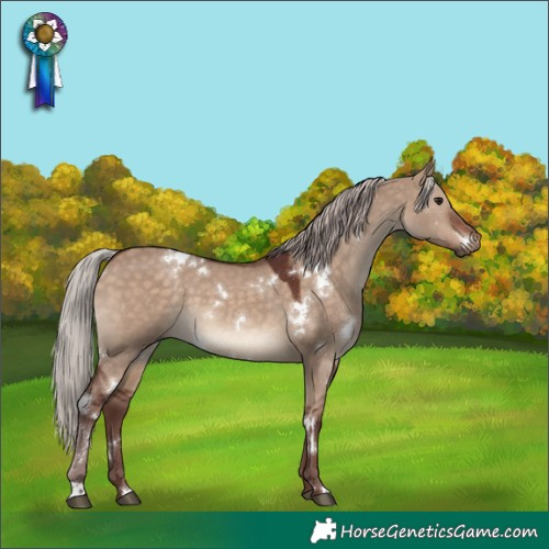 Horse Color:White Spotted Chocolate Silver Brown Dun